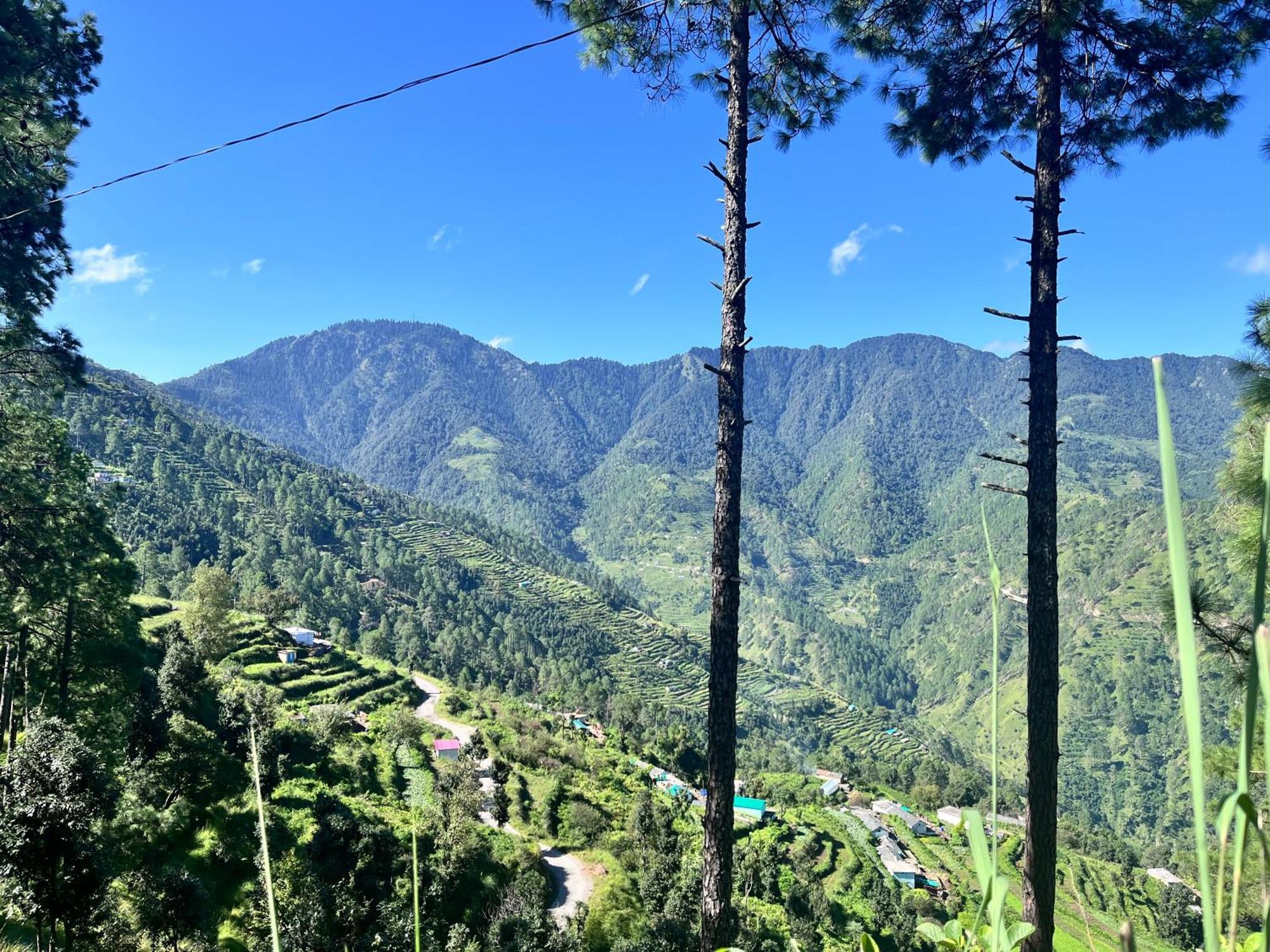 Himalayan Hill Top Resort คานาตัล ภายนอก รูปภาพ