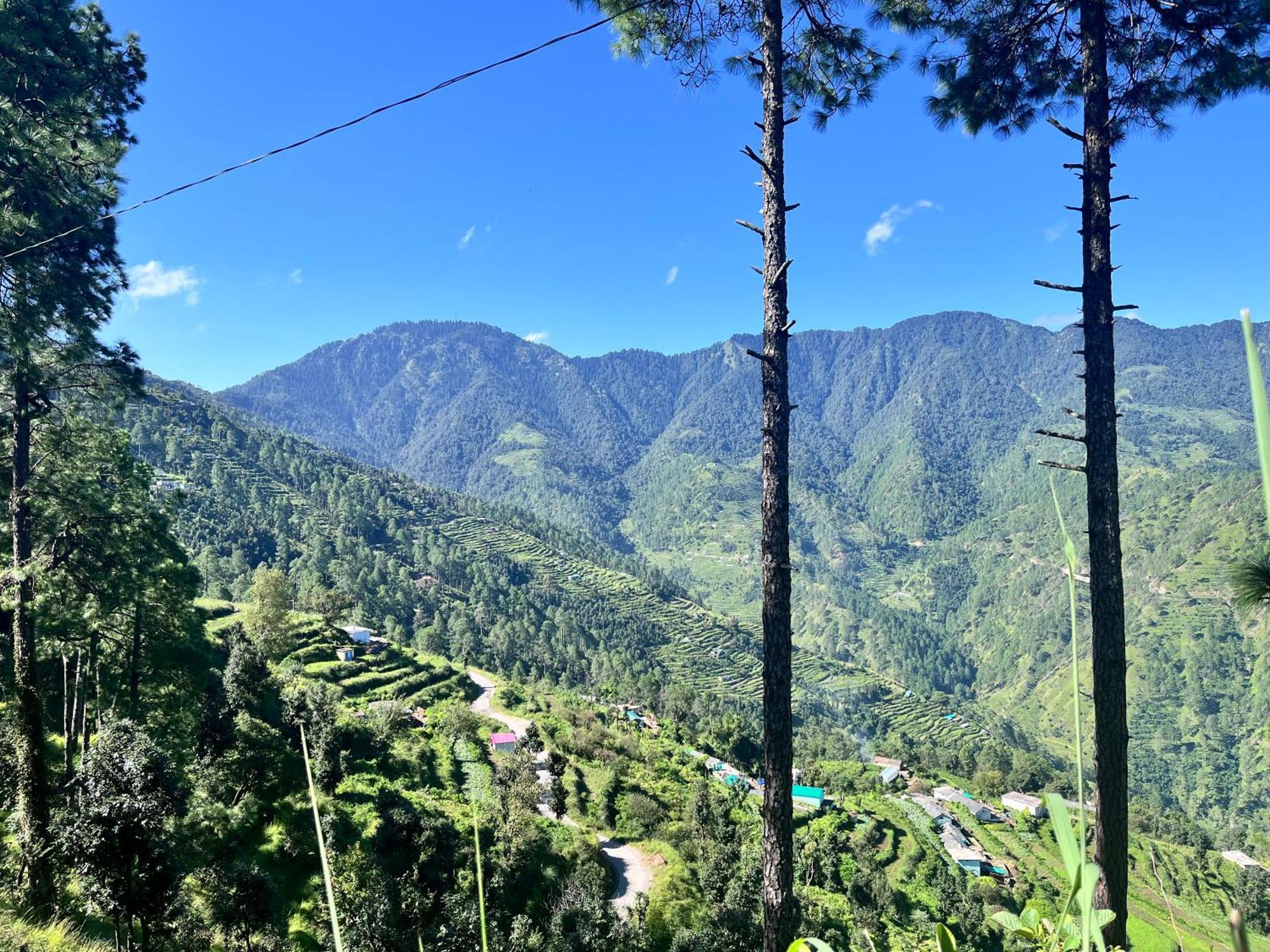 Himalayan Hill Top Resort คานาตัล ภายนอก รูปภาพ
